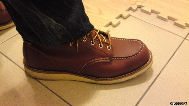 Red Wing 875開箱 + 兩個月大的8131