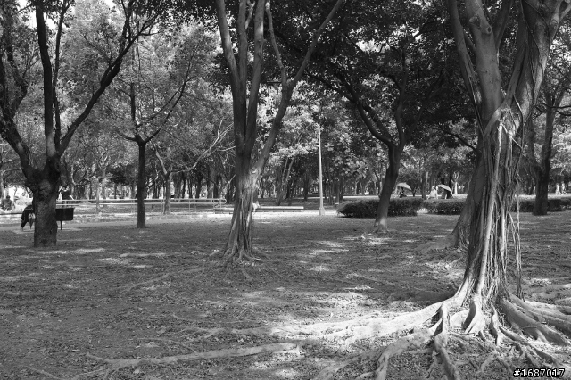 Fujifilm X100 大溪老街及大安森林公園隨拍