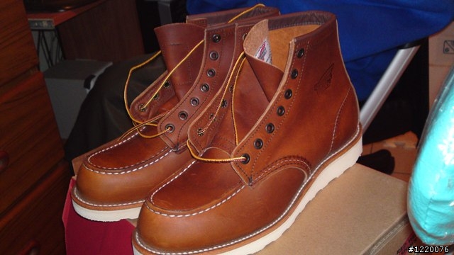 Red Wing 875開箱 + 兩個月大的8131