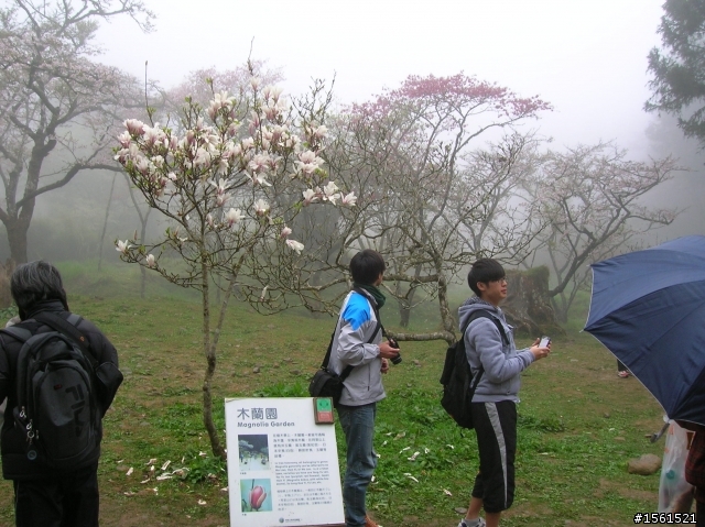 2011-0326阿里山霧中獨騎
