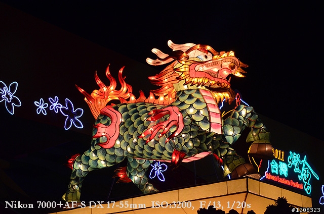 D7000拍2011燈會經驗分享(台北燈會&苗栗台灣燈會)