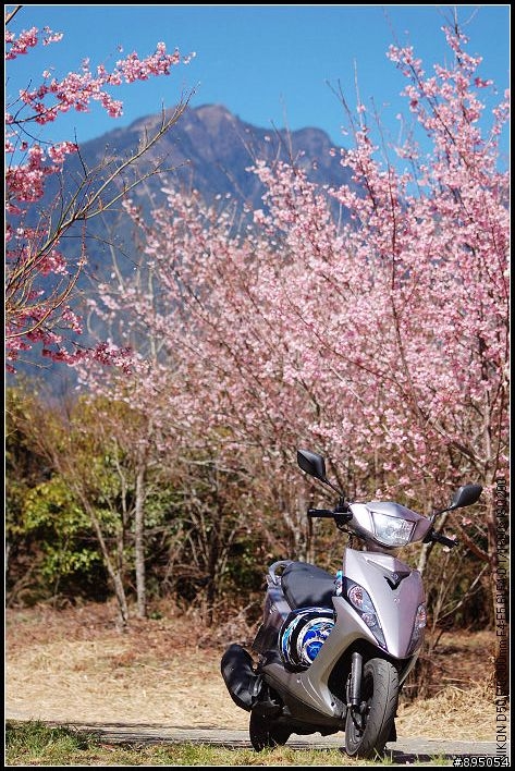 RS-ZERO試駕報告