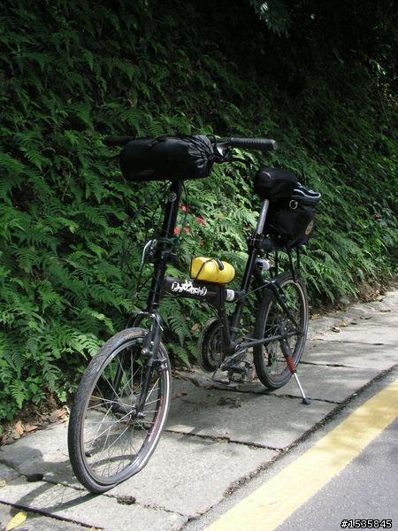 阿柔坑的櫻花跟第一次的爆胎摔車(這樣改善爆胎狀況不曉得行不行？)