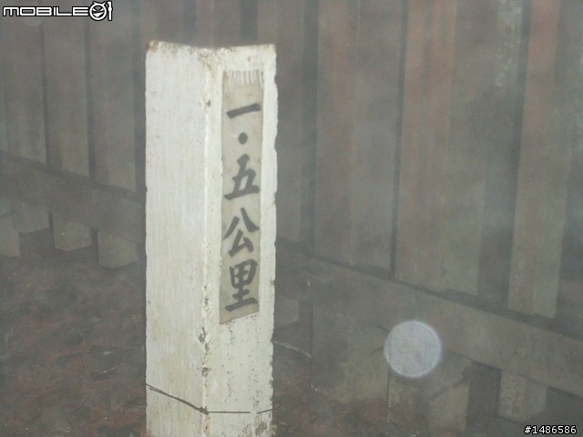 賞櫻花