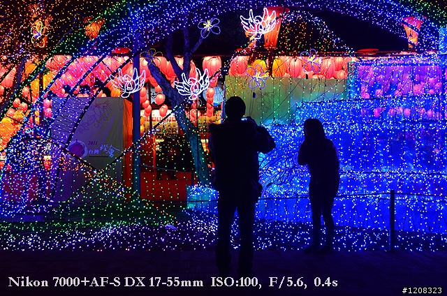 D7000拍2011燈會經驗分享(台北燈會&苗栗台灣燈會)