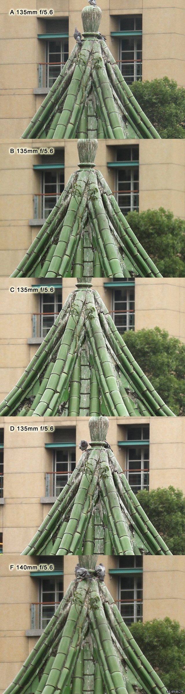 [實拍測試] Canon 四支原廠望遠變焦鏡頭畫質比較 (圖非常多)