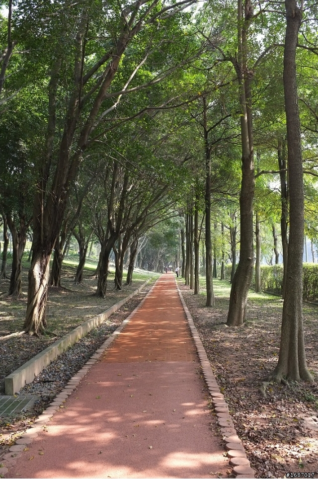 Fujifilm X100 大溪老街及大安森林公園隨拍