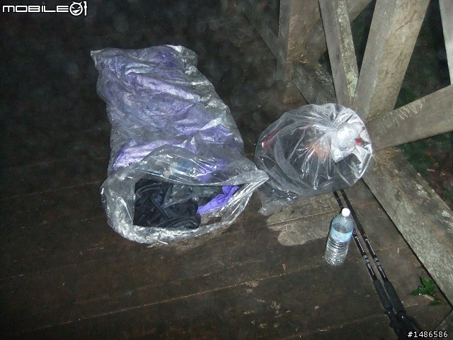 賞櫻花
