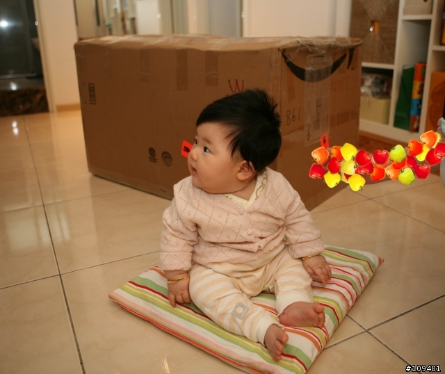 steiff 搖搖馬...(算逸品吧!!)