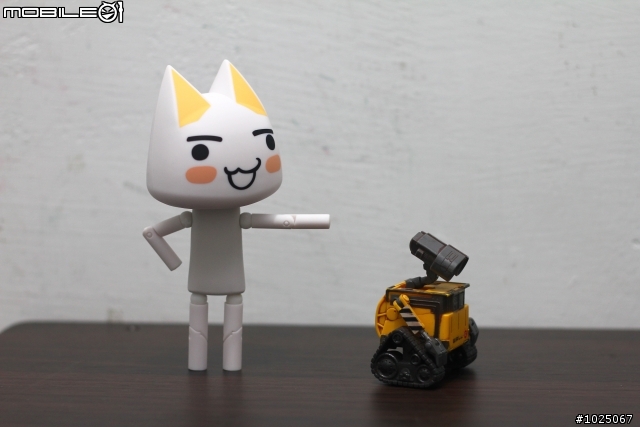 [開箱] 山口式 TORO 貓