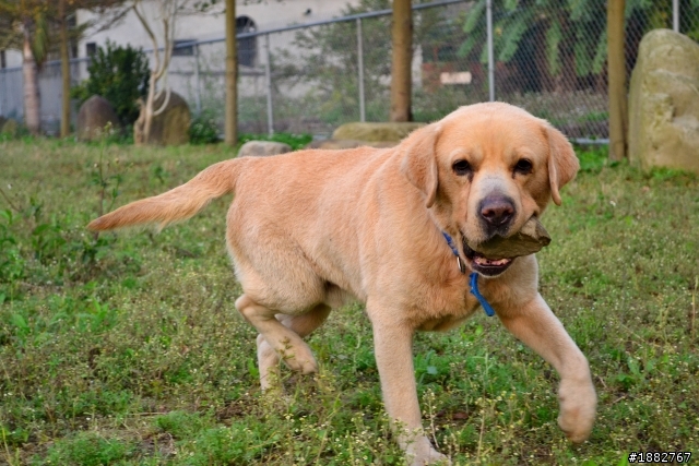 D3100 大樓加蓋 新手請多包涵