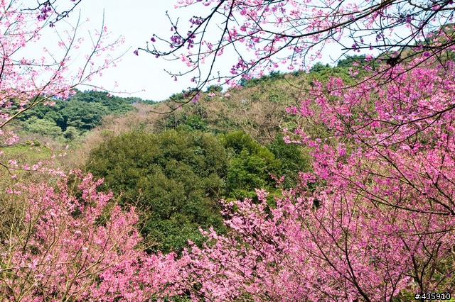 小女子想破頭-所以沒標題之四手聯彈 星巴克盃