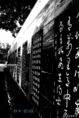 新手拍攝 請版內高手評論