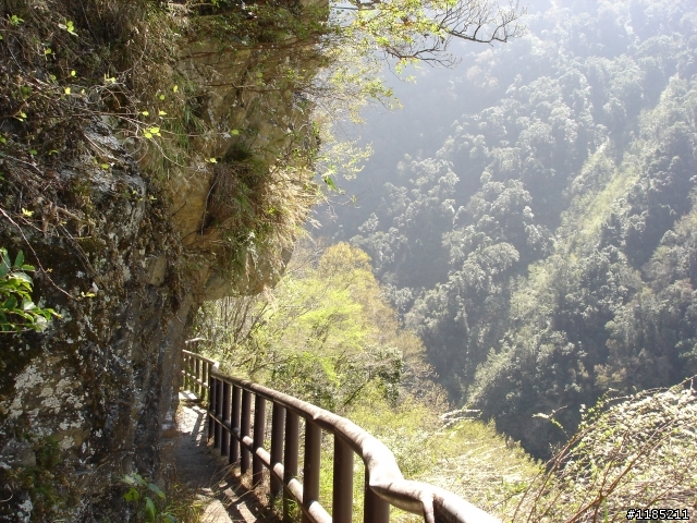 玉山國家公園八通關古道紀行第二章【雲龍瀑布仙境傳說】