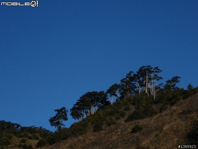 我不要單眼，類單就很好玩啦！S8000FD