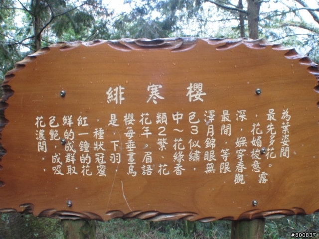 新竹五峰+尖石兩日遊(更新完成)
