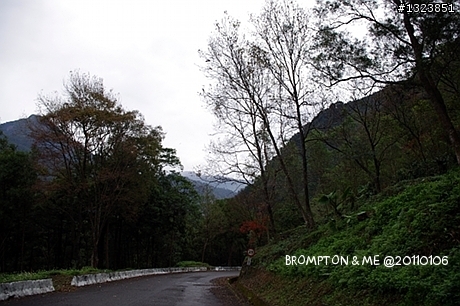 <BROMPTON與我的小旅行>冬訪惠蓀