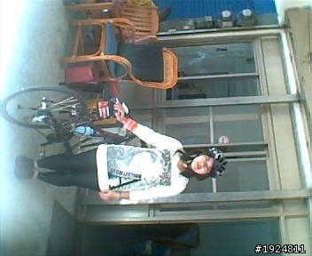 228環大桃園 + 313復興鄉
