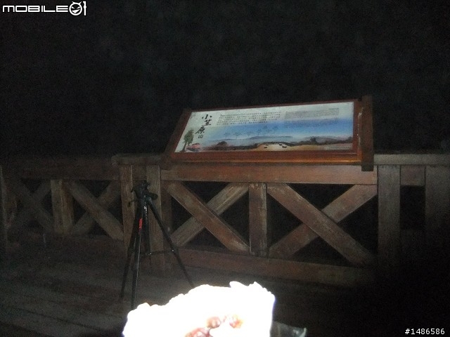 賞櫻花