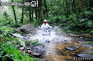 台北祕境探險2  熊空的美麗 上傳影片嘍