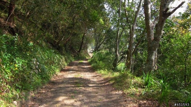 20110226來去高雄寶來小關山林道off road