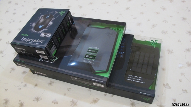 [不專業開廂+遲來的開廂] RAZER 帝王莽 黑腹狼蛛 黃斑胡蜂 (圖多)