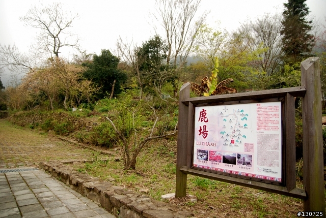 苗栗南庄一日趴趴走(貓咪 神仙谷 小吃) 圖爆多