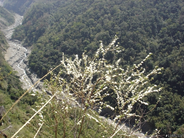玉山國家公園八通關古道紀行第二章【雲龍瀑布仙境傳說】