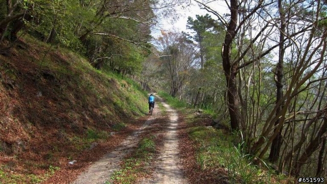 20110226來去高雄寶來小關山林道off road