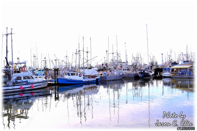 Nikon D3100  新手初登版  Early Spring @ 溫哥華 , 請多指教