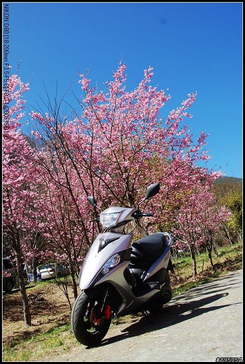 RS-ZERO試駕報告