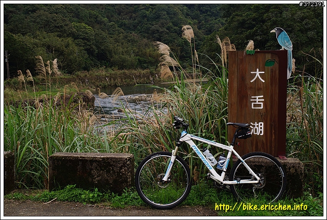 虎寮潭、大舌湖、漁光環線 [Eric的單車日記]