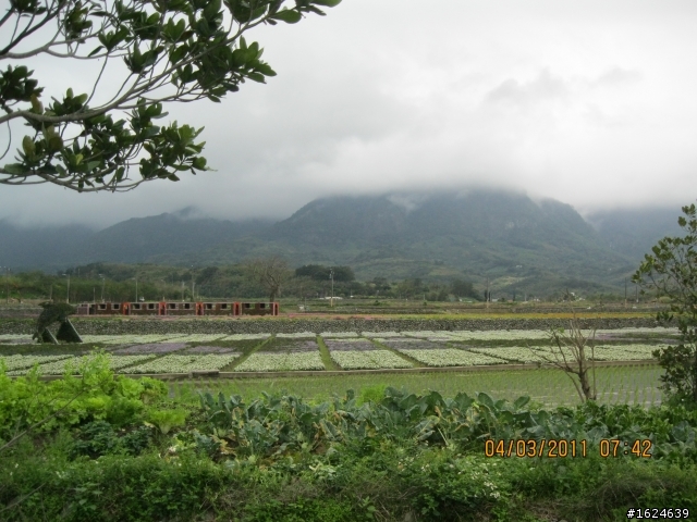 02/28-03/05 單車版不老騎士六天美麗寶島環島行----Day 5 ( 池上-花蓮新城與加碼玉山國家公園南安景點)