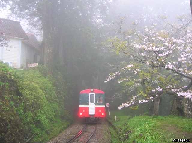 2011-0326阿里山霧中獨騎