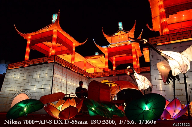 D7000拍2011燈會經驗分享(台北燈會&苗栗台灣燈會)