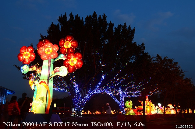 D7000拍2011燈會經驗分享(台北燈會&苗栗台灣燈會)