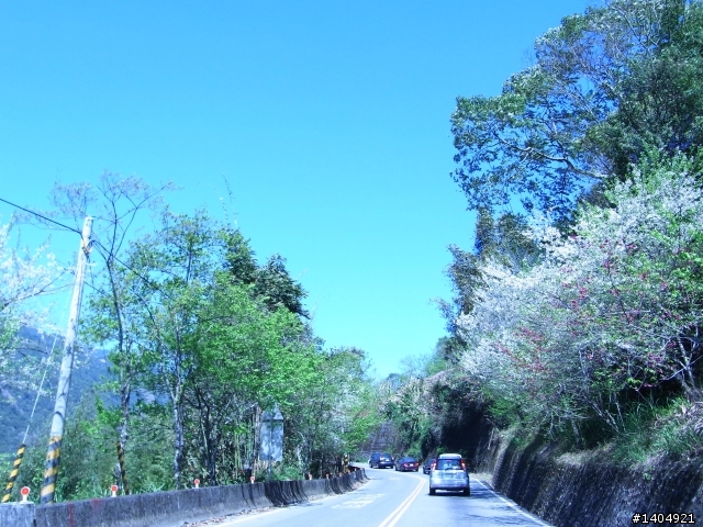 佛克司之油耗天堂與地獄~之賞櫻之旅(天堂地獄又回人間)