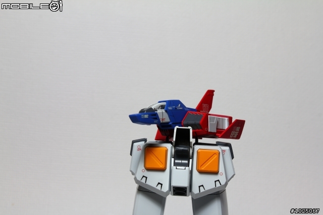 [分享]友機 RX-78    (圖多...慎入)