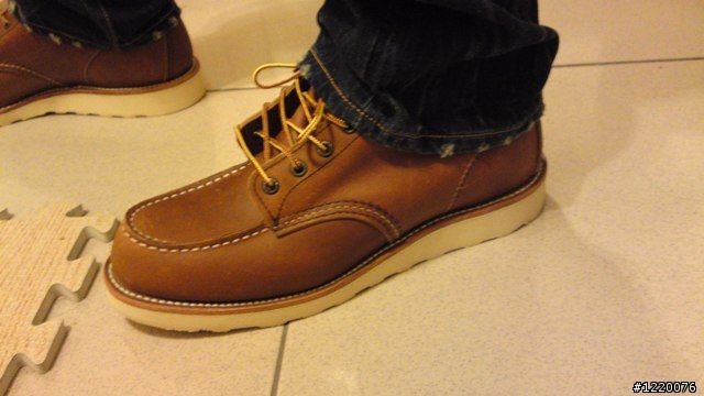 Red Wing 875開箱 + 兩個月大的8131