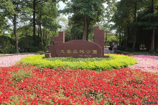 Fujifilm X100 大溪老街及大安森林公園隨拍