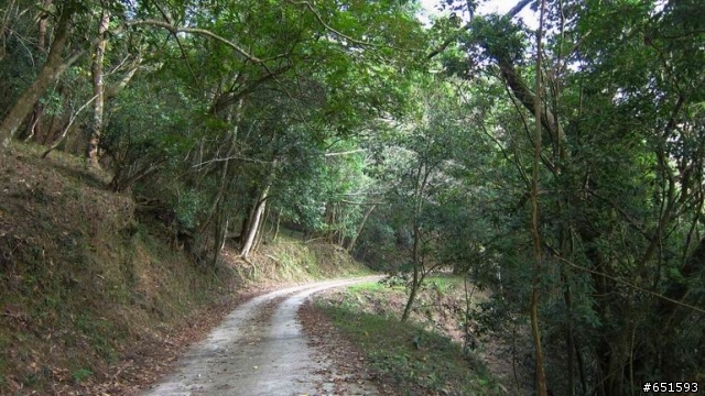 20110226來去高雄寶來小關山林道off road