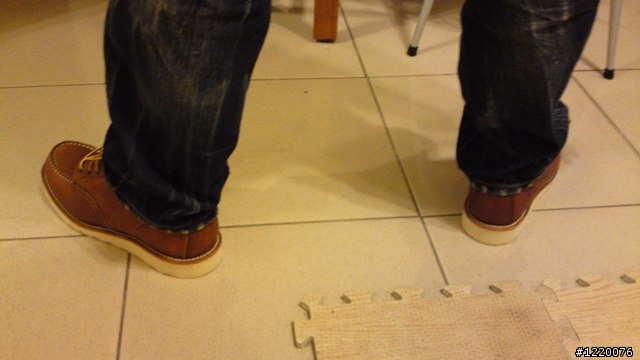 Red Wing 875開箱 + 兩個月大的8131