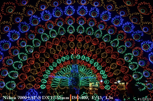 D7000拍2011燈會經驗分享(台北燈會&苗栗台灣燈會)