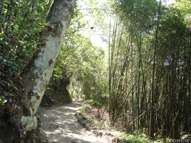 玉山國家公園八通關古道紀行第二章【雲龍瀑布仙境傳說】
