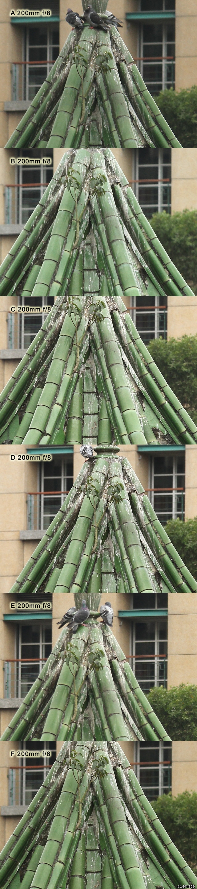 [實拍測試] Canon 四支原廠望遠變焦鏡頭畫質比較 (圖非常多)