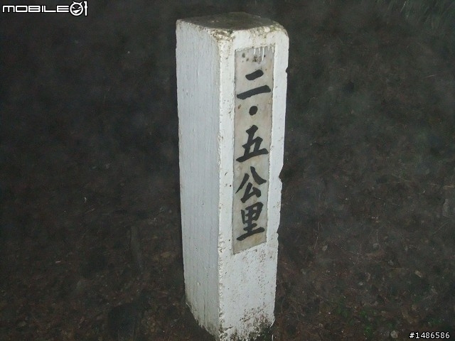賞櫻花