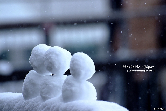 FUJI S5 PRO - 2011年冬の雪北海道之旅