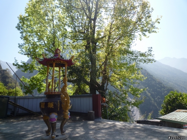 玉山國家公園八通關古道紀行第二章【雲龍瀑布仙境傳說】