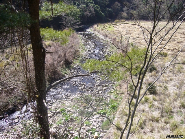 光陽many100 環島10天9夜，共計1861KM。(中集)