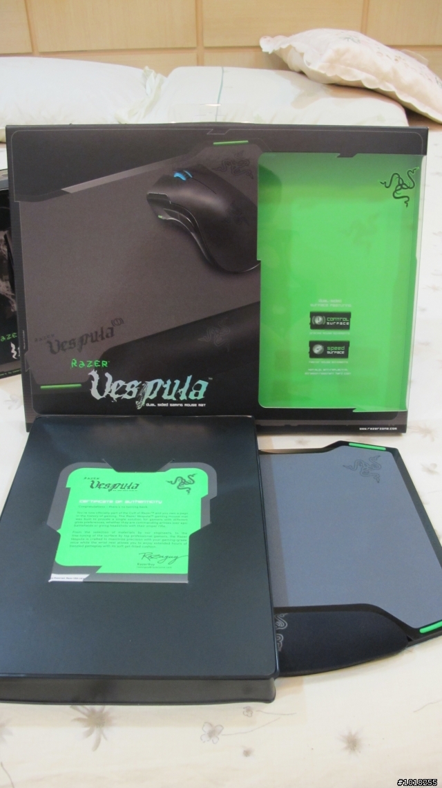 [不專業開廂+遲來的開廂] RAZER 帝王莽 黑腹狼蛛 黃斑胡蜂 (圖多)